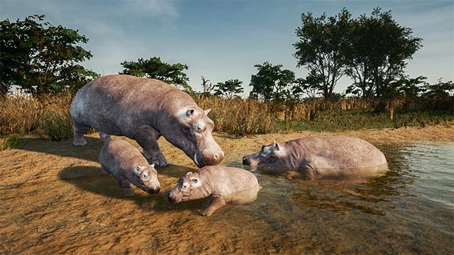 Bản update tháng 4 của Animalia Survival game tập trung sửa lỗi và nâng cấp tính năng cho thỏ rừng, hà mã và voi