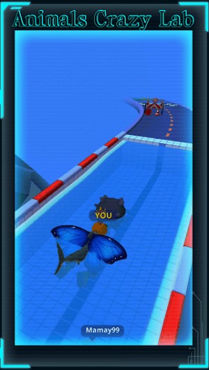 Tham gia chạy đua cùng với các đối thủ khác