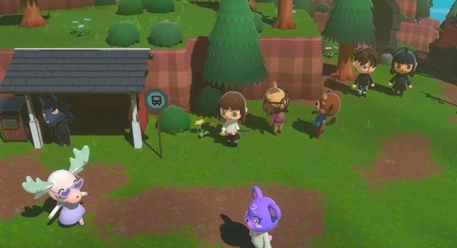 Kết bạn với những người hàng xóm động vật kỳ quặc và cùng nhau khám phá thế giới