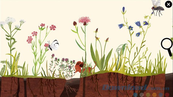 Nhiều đối tượng để khám phá