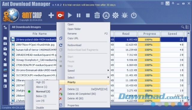 Phần mềm hỗ trợ tải video chuyên nghiệp Ant Download Manager
