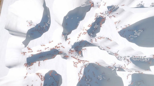 Ant Keeping Simulator là game giả lập nuôi kiến độc lạ trên máy tính