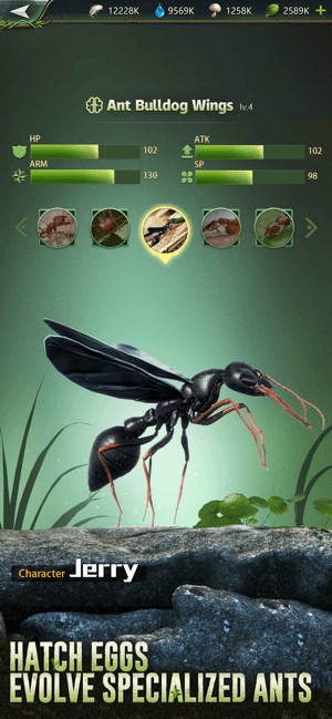 Ấp nở những con kiến mới cho bầy của bạn