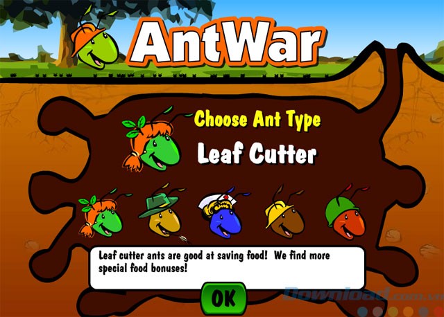 Lựa chọn loại kiến