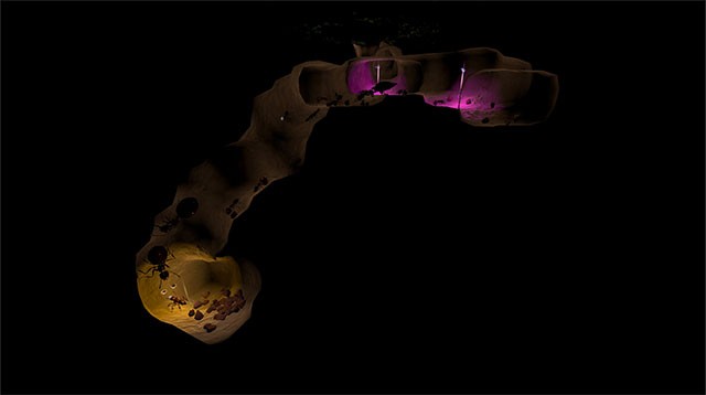 Tổ chức đào hầm vào mùa xuân để phát triển thuộc địa của loài kiến trong AntQueen 3D