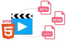 Any Video Converter Pro hỗ trợ HTML 5