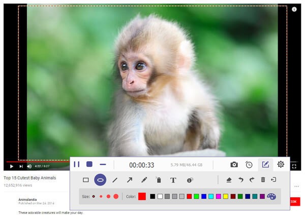 Quay video màn hình và ghi âm dễ dàng với AnyMP4 Screen Recorder