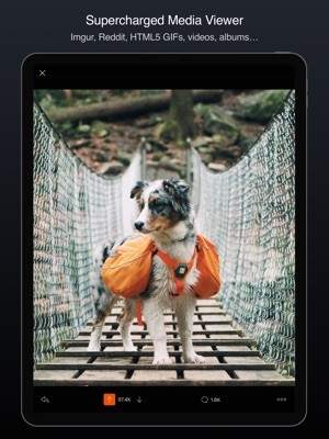 Media Viewer mang đến trải nghiệm tuyệt vời khi xem hình ảnh, GIF, video