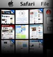 Apple Safari 4.0 - Browser Information