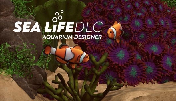 Bản cập nhật tháng 9 của Aquarium Designer giới thiệu gói nội dung Sea Life DLC mới