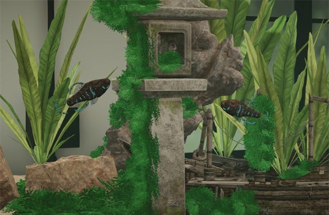 Bản cập nhật tháng 2/2022 của Aquarium Designer game bổ sung 1 loài cá mới và 2 cây trồng độc đáo