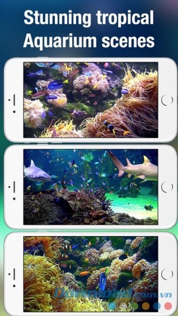 Ứng dụng giải trí Aquarium Live