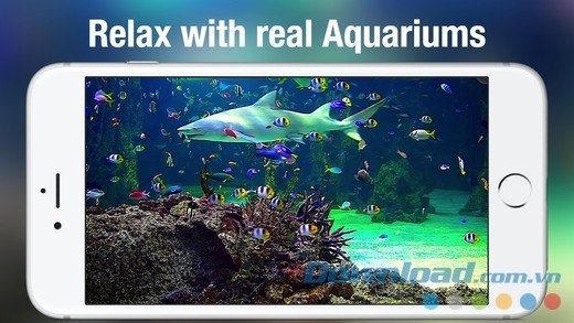 Xem video khám phá dưới đáy đại dương bao la