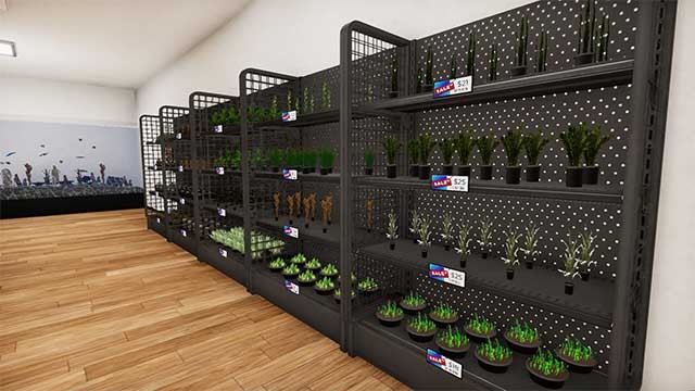 Sắp xếp các kệ cá cảnh và đồ trang trí liên quan đến chủ đề thủy sinh