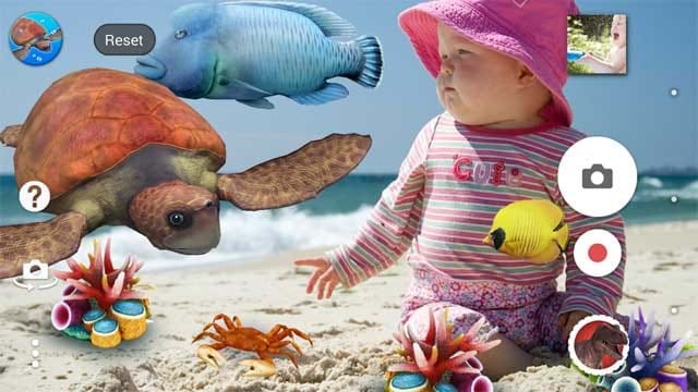 Hay hiệu ứng đại dương với những chú rùa và cá biển 3D tuyệt đẹp