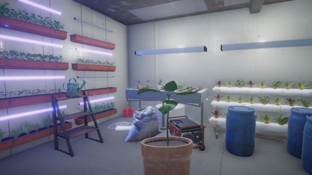 Trồng trọt trong nhà kính hoặc không gian trong nhà