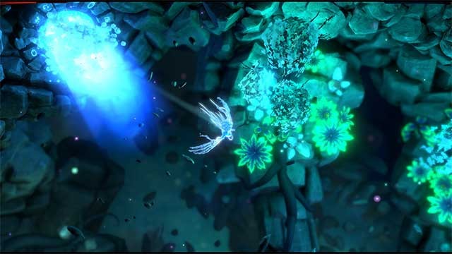 Khám phá một thế giới huyền bí với những quy tắc điên rồ