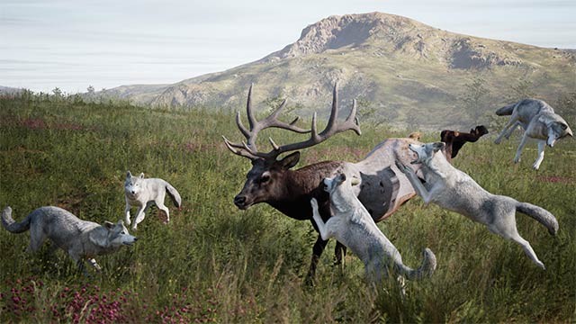 Artemishea tái hiện cuộc chiến sinh tồn tàn khốc của các loài thú hoang
