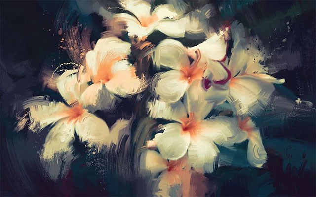 Hình nền chất lượng cao