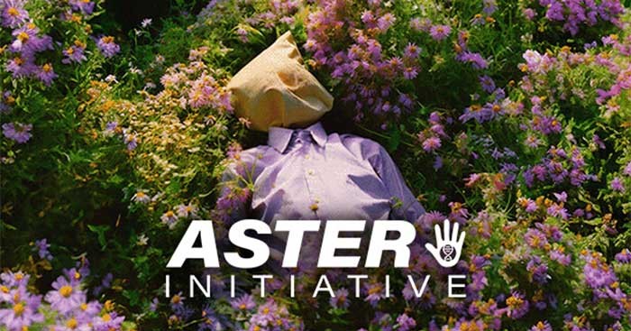 Aster Initiative là một trò chơi mô phỏng giải đố kết hợp kinh dị mới lạ