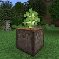 Auto Planter Mod Minecraft: Trồng Cây Tự Động