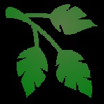 AutoPlant Mod Minecraft: Trồng Cây Tự Động Tiện Lợi