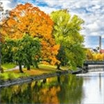 Hình nền mùa thu châu Âu: Vẻ đẹp lãng mạn của mùa thu ở Thụy Điển