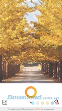 Ứng dụng chụp ảnh chủ đề mùa thu