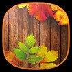 Autumn Time - Dynamic Fall Wallpaper for Android
