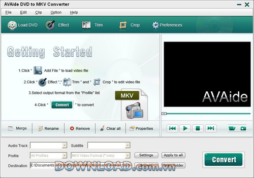 AVAide DVD to MKV Converter