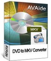AVAide DVD to MKV Converter - Chuyển đổi DVD sang MKV