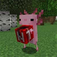 Axolotls Mod: Thêm Sinh Vật Đáng Yêu Mới