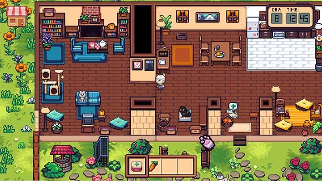 Nâng cấp ngôi nhà của bạn khi số lượng mèo trở nên nhiều hơn