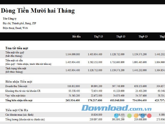 Báo cáo dòng tiền 12 tháng