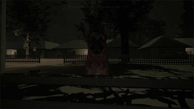 Bạn có thể tự do dạo chơi và khám phá, nhưng không phải nơi nào cũng an toàn