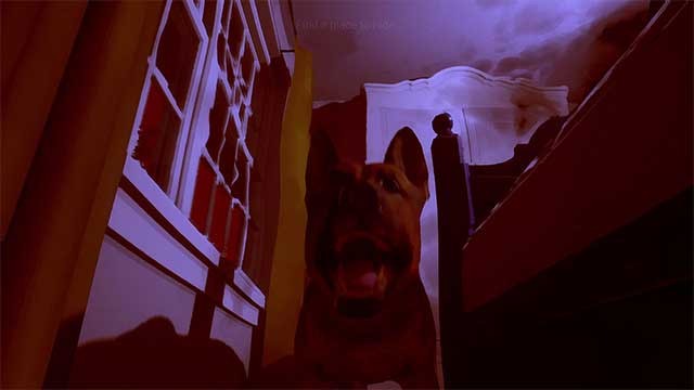 Bạn phải cẩn thận khi gặp những con thú hoang đi lang thang