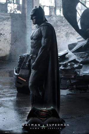 mini Batman V Superman Dawn Of Justice 12