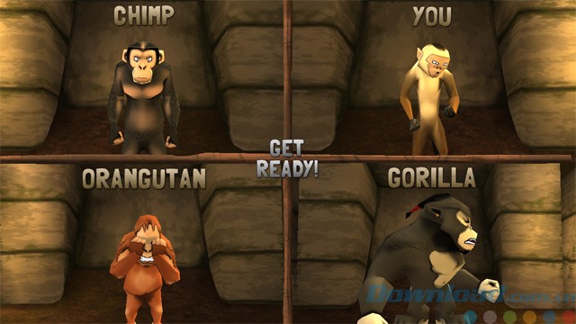 Các đối thủ trong trận chiến