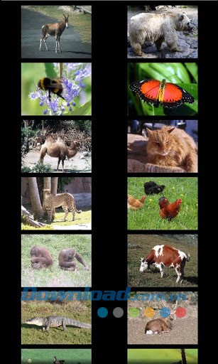 Bé học các con vật for Android