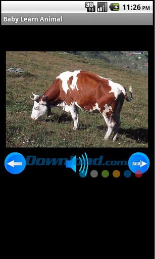Bé học các con vật for Android