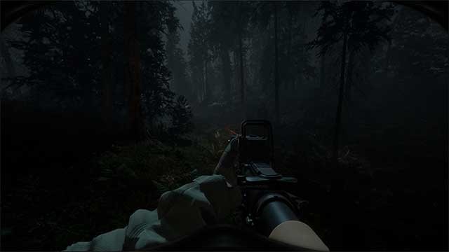 Beautiful Light nhấn mạnh vào lối chơi nhập vai, kinh dị và chiến thuật