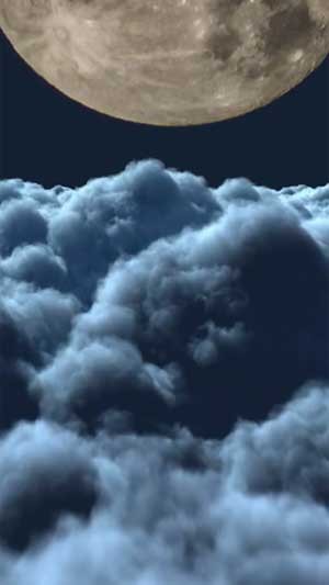 Beditations giúp điều hòa năng lượng trong cơ thể và tâm trí