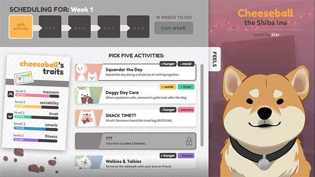 Huấn luyện, xoa đầu và chơi đùa với chú chó của riêng bạn