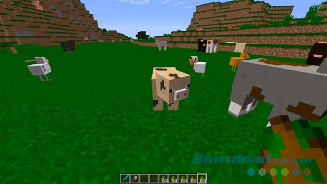 Better Agriculture Mod bổ sung nhiều loại vật nuôi mới