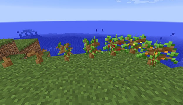 Thu hoạch hoa màu và trái cây, sử dụng để khôi phục Hunger và Heart