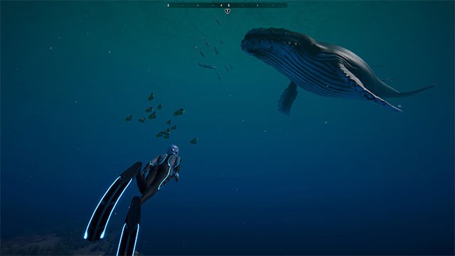 Tương tác với các sinh vật lạ trong game Beyond Blue