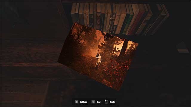 Bbắt đầu cuộc phiêu lưu khám phá sự thật và tìm kiếm Rocky yêu quý của bạn