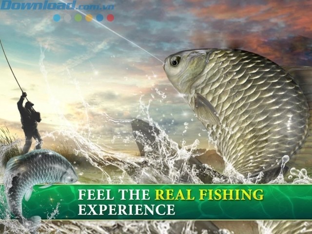 Trải nghiệm câu cá thực sự