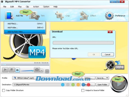 Bigasoft MP4 Converter