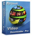 Bigasoft Video Downloader Pro 1.2.28 - Download & Convert Video